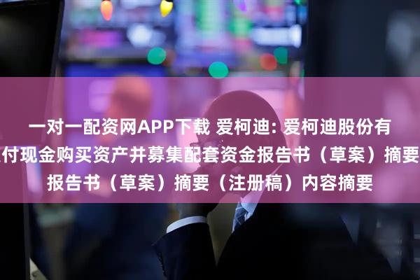 一对一配资网APP下载 爱柯迪: 爱柯迪股份有限公司发行股份及支付现金购买资产并募集配套资金报告书（草案）摘要（注册稿）内容摘要