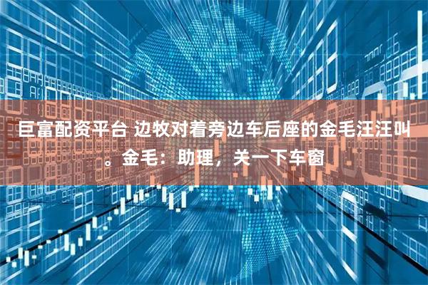 巨富配资平台 边牧对着旁边车后座的金毛汪汪叫。金毛：助理，关一下车窗