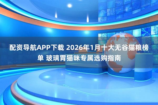 配资导航APP下载 2026年1月十大无谷猫粮榜单 玻璃胃猫咪专属选购指南